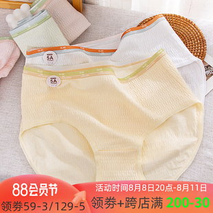 高弹纯棉5A抗菌A类婴儿棉可爱中腰内裤女大码200斤胖MM简约三角裤