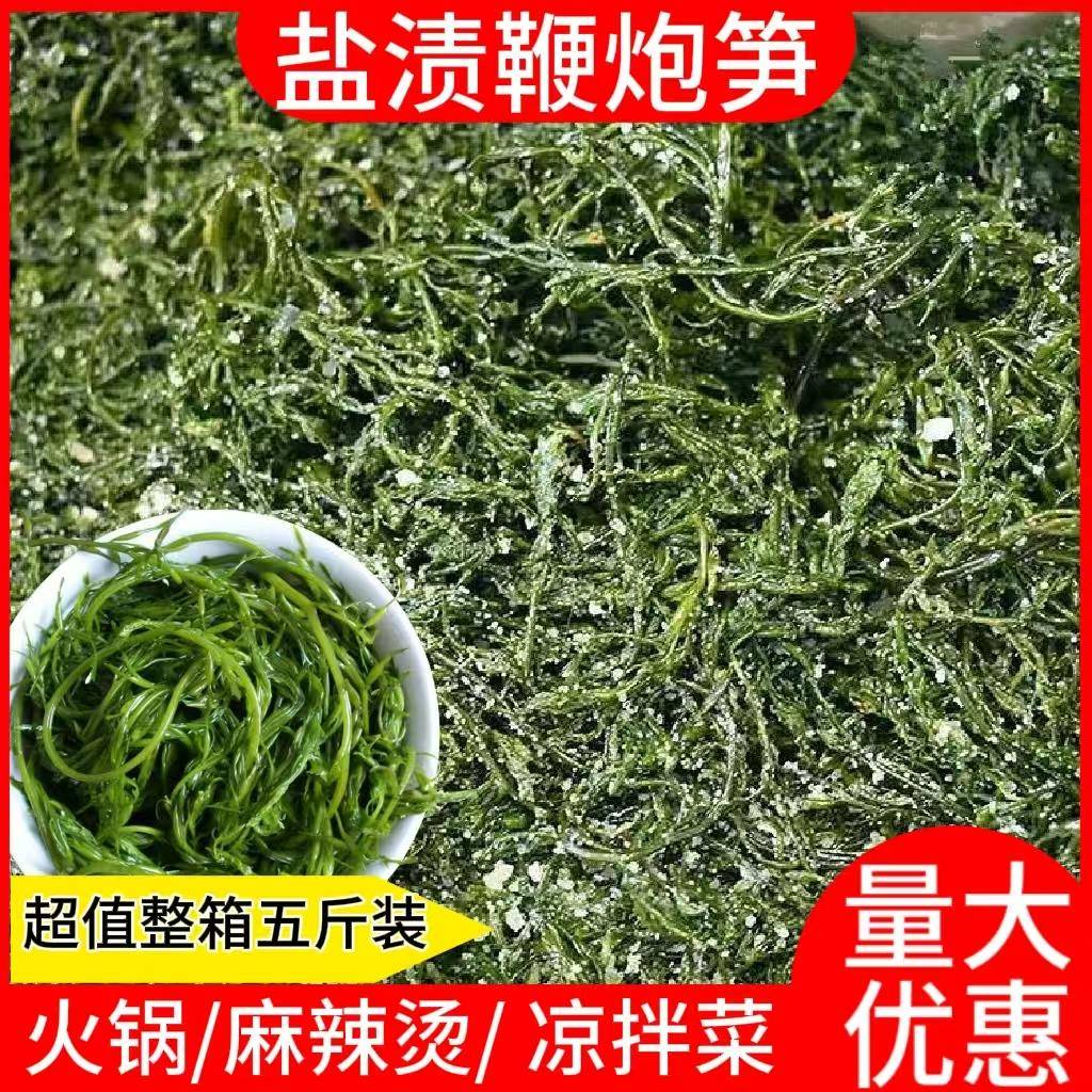 盐渍鞭炮笋新鲜马尾藻长寿菜盐渍海藻菜凉拌火锅海带商用家用