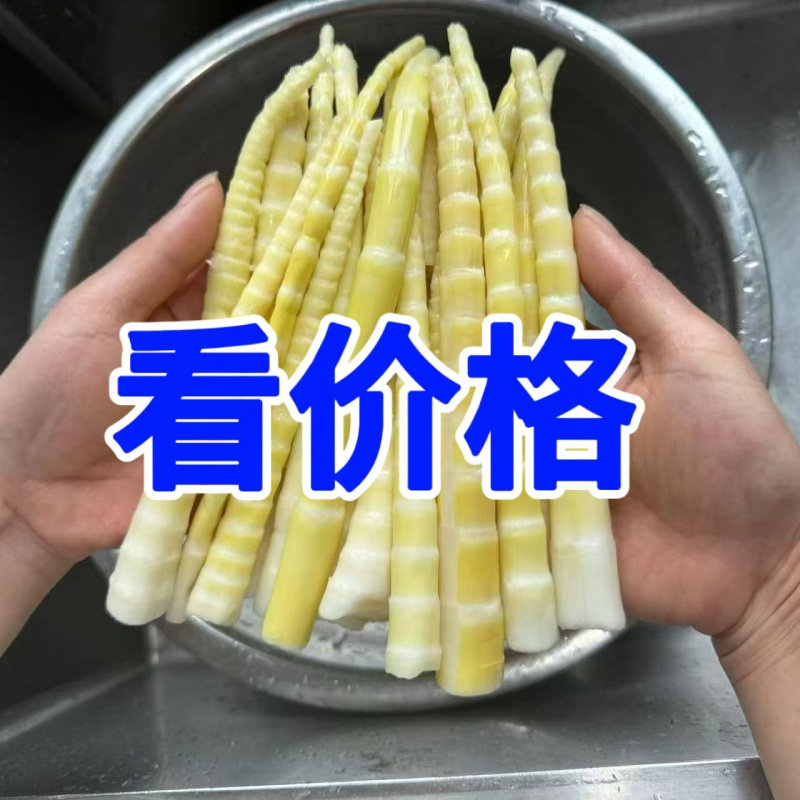 笋尖冒菜竹笋笋尖下食材串串笋竹