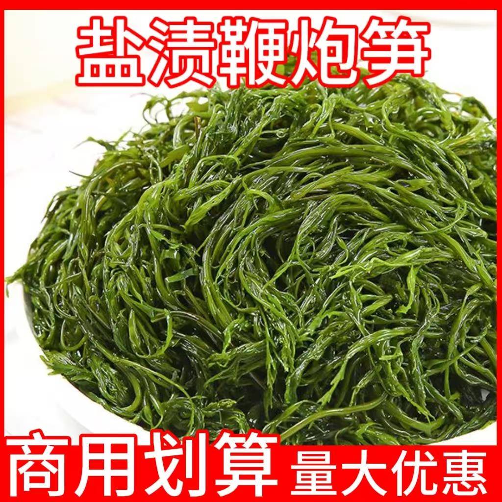 盐渍鞭炮笋新鲜马尾藻长寿菜盐渍海藻菜凉拌火锅海带商用家用
