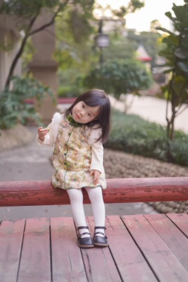 24秋冬新款中国风旗袍国潮女男凤羽真丝绒水貂唐装汉服新式洋气