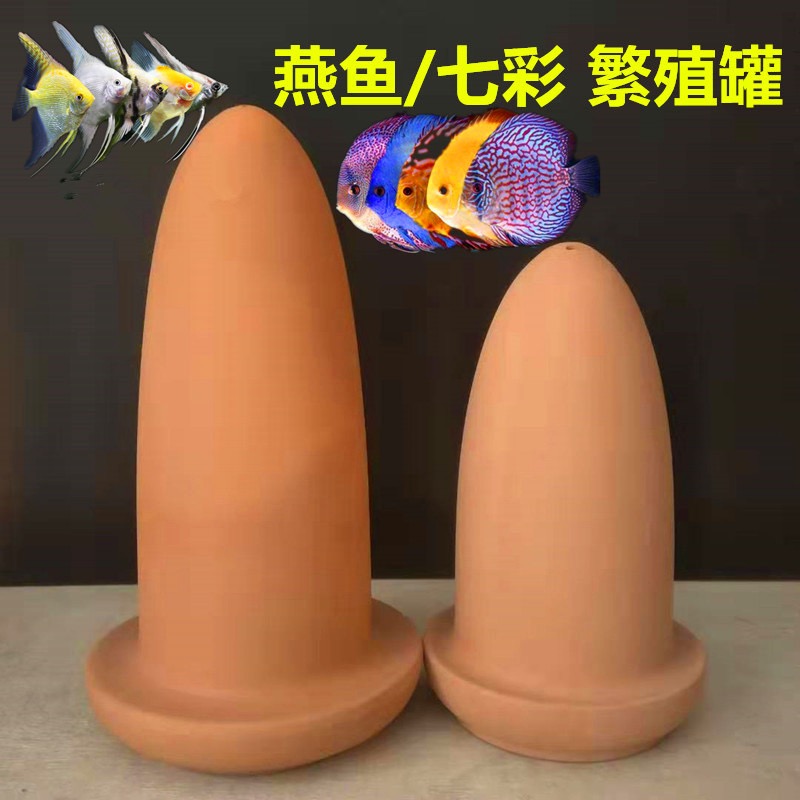 神奇宝贝七彩繁殖陶罐孵化器