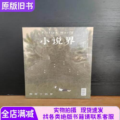小说界2025年第4期