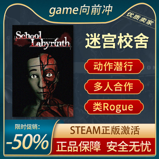 类 Labyrinth ROGUE 动作潜行 中文 迷宫校舍 Steam正版 School