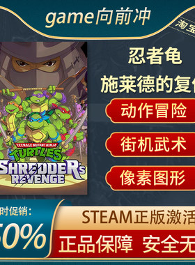 忍者龟施莱德的复仇STEAM正版