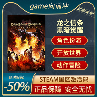 龙之信条 黑暗崛起 Dragon's Dogma STEAM正版CDkey 游戏代购