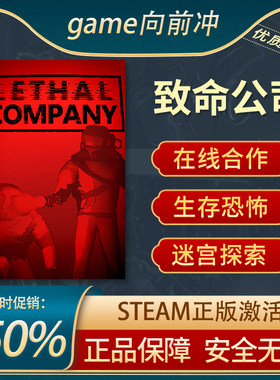 致命公司STEAM正版程序生成