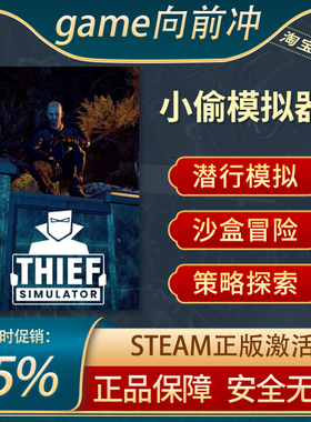 小偷模拟器 Thief Simulator PC中文正版steam游戏 沙盒模拟 冒险