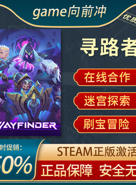 寻路者动作角色扮演Steam正版