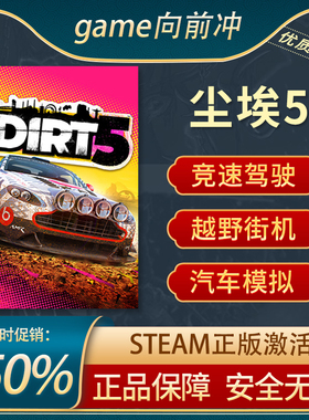 尘埃5 DIRT 5 STEAM正版 PC中文 国区激活码 CDKEY 玩家对战 竞速