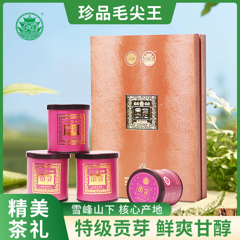 2025年新茶古楼贡茶珍品毛尖王 高山云雾绿茶雪峰春茶礼盒装茶叶