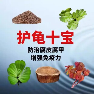 龟缸造景水草套餐浮萍水草植物全套摆件晒台乌龟躲避屋净化水质