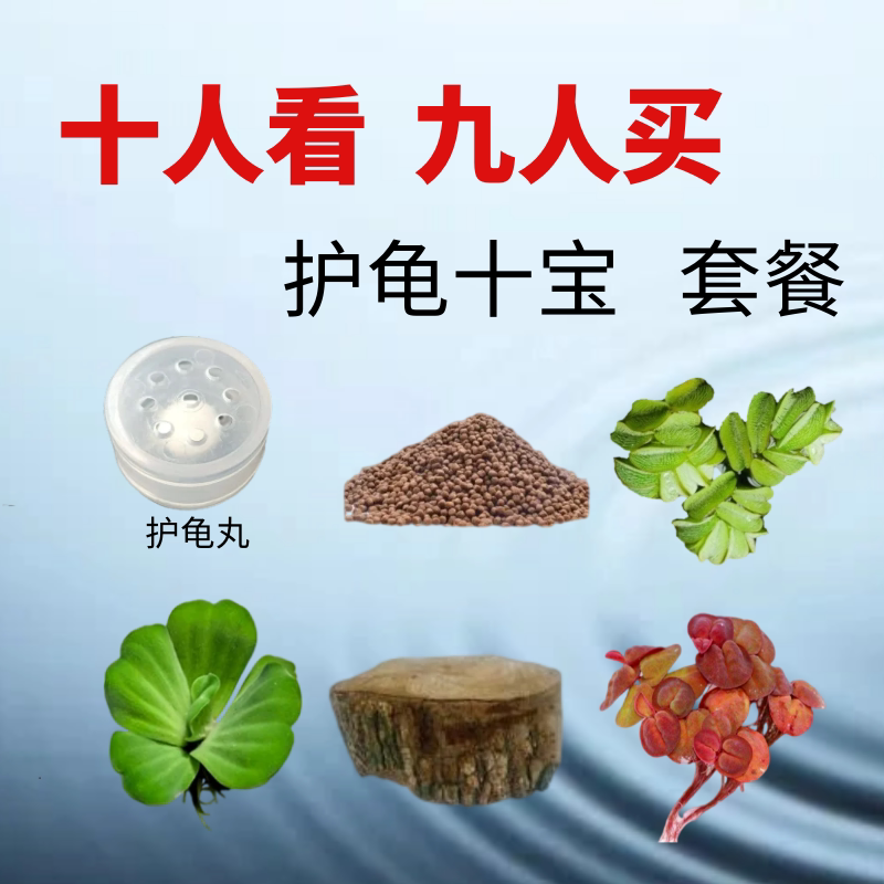 龟缸浮萍水草养鱼养龟净化水质