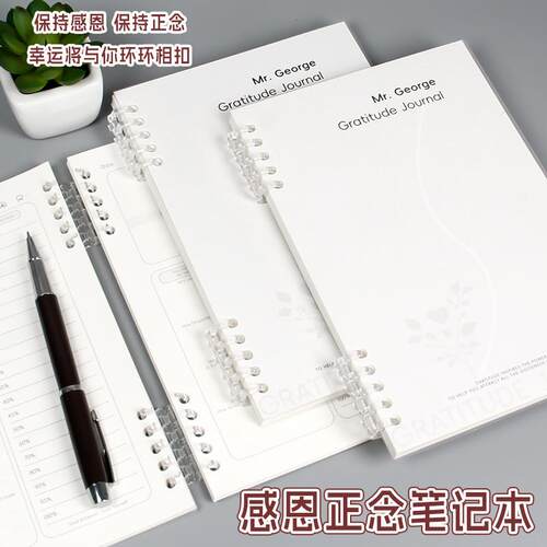 原创我的第一本人生规划笔记本人生重启计划本行动计划本感恩日记