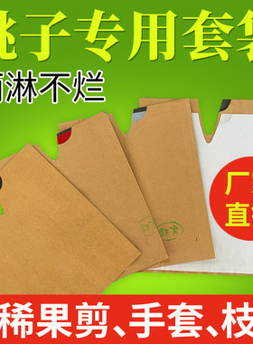 桃子专用套袋黄桃果袋防虫防鸟