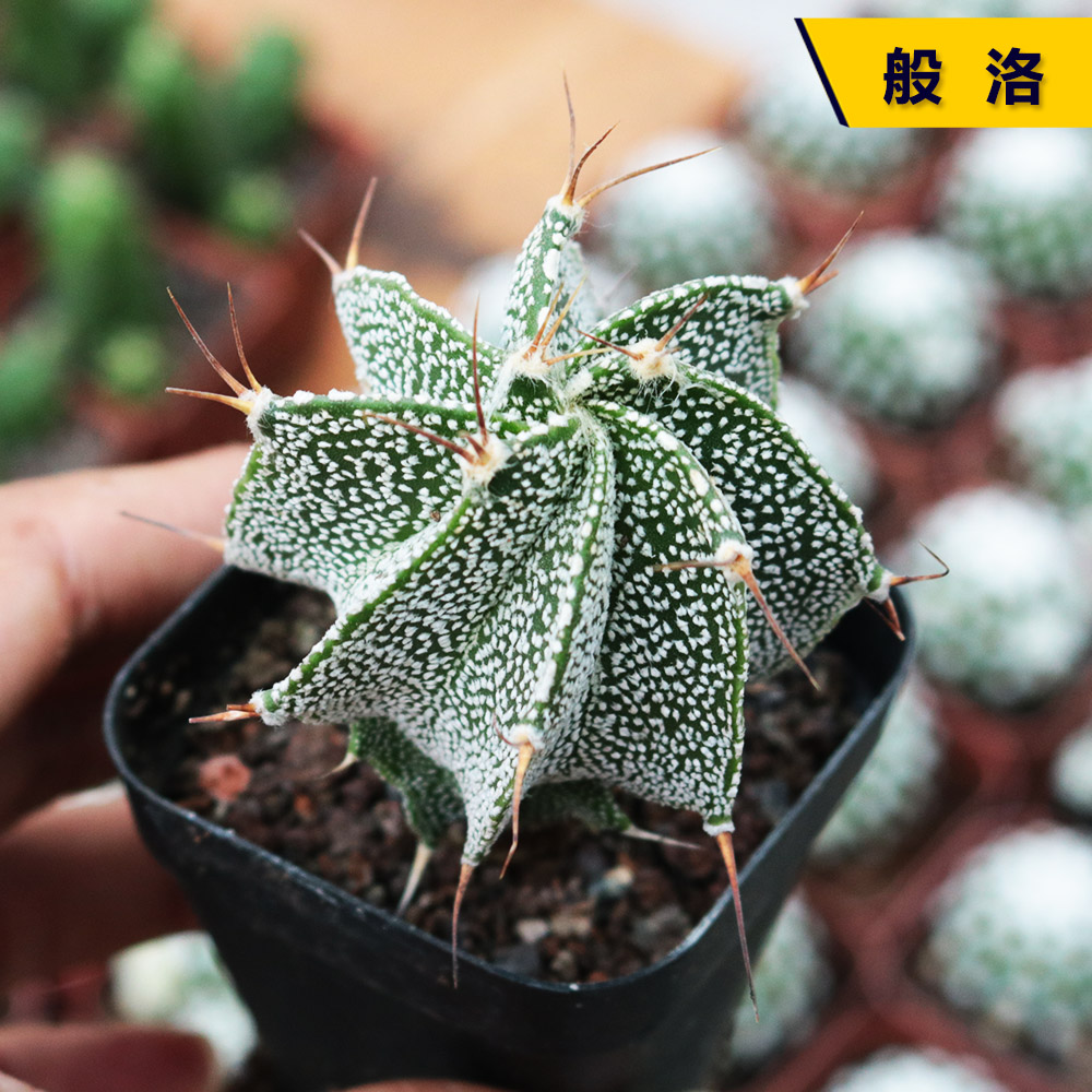 福彩双色球开奖l结果
下载最新版本安全可靠