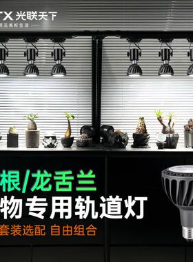 光联天下植物补光灯led轨道射灯全光谱龙舌兰块根仙人球生长灯30W