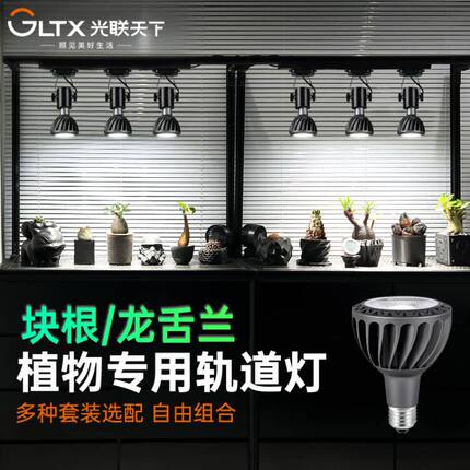 光联天下植物补光灯led轨道射灯全光谱龙舌兰块根仙人球生长灯30W