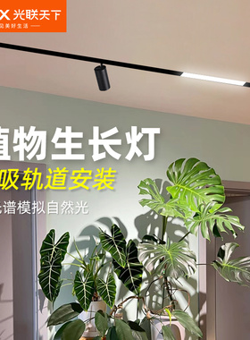 光联天下全光谱植物生长灯led磁吸轨道射灯室内绿植补光灯自然光