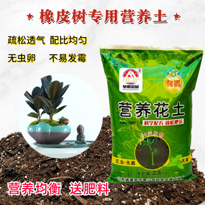 橡皮树植物专用营养花土疏松透气