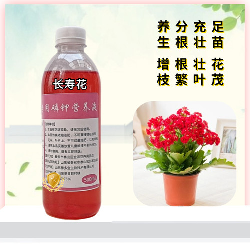 长寿花专用磷钾营养液绿植浓缩肥