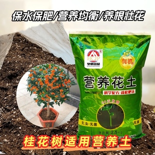 桂花营养疏松专用土壤泥土花卉盆栽盆景阳台土有机种花养花种植土
