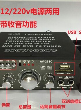 包邮迷你小型功放音箱功率放大器插卡U盘麦克风带收音直流12V220V