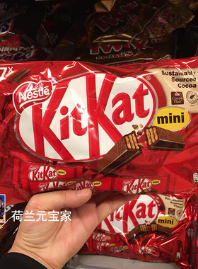 现货荷兰进口nestle kitkat巧克力雀巢奇巧威化饼干独立包装零食