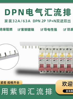 DPN/2P配电箱汇流排1P+N双进双出DZ30-63A小型空气开关断路器 C45
