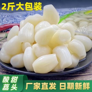 kg【嘎嘣脆】味美呆酸甜藠头1商用大包装下饭菜水晶荞头茭头教头