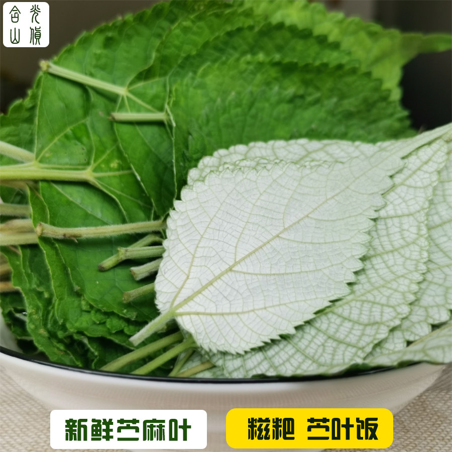 新鲜嫩苎麻叶野麻野苎麻家麻青麻白麻750g糍粑糕点垫底青团苎叶饭