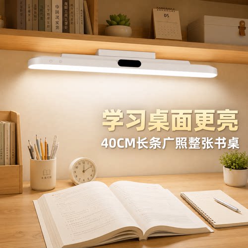 一盏长条灯照亮整张大书桌