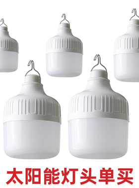 太阳能单灯泡6V专用LED灯泡太阳能发电系统DC插头5521头灯泡