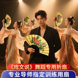 戏文说舞蹈扇张兵老师同款8寸绢布扇子贵妃醉酒梨花颂折扇表演扇