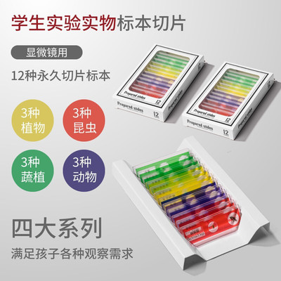 儿童显微镜生物标本切片初中小学生专用动植物盖玻片载玻片配件