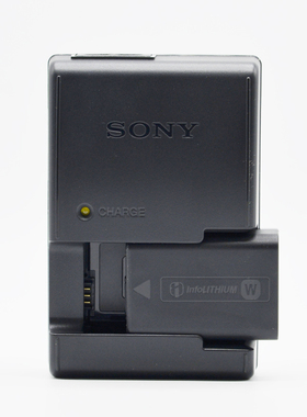 索尼原装 BC-VW1 FW50 电池 A6100 A5100 A6500 A7R2 A7M2 ZV-E10 充电器
