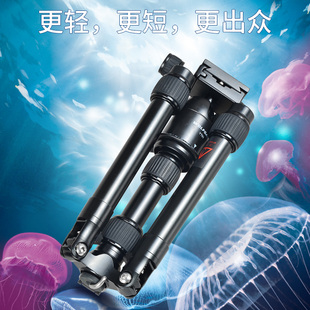 用 EOS 1300D 70D 760D 三脚架 750D 5D3 沃尔夫冈 7D2 桌面