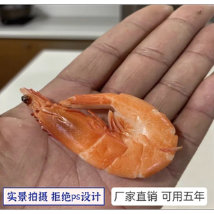 白灼虾模型仿真虾模具清蒸水煮虾假虾仁模型摆盘道具海鲜饭店摆件