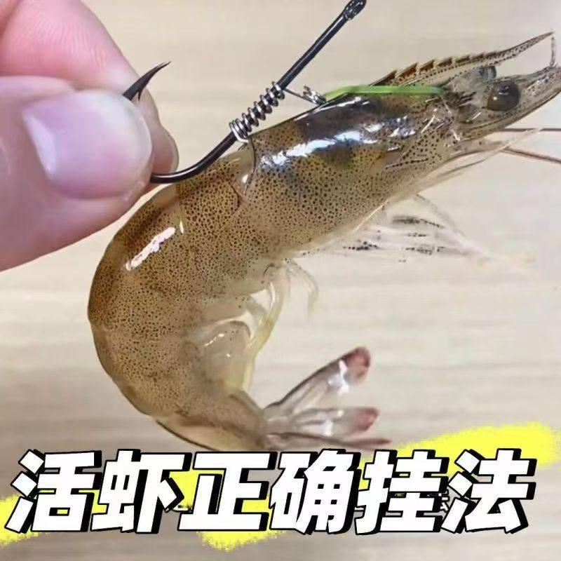 海钓飘虾米鱼虾背钩活虾钩路亚