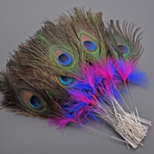 天艺孔雀羽毛鸵鸟毛扫脸按摩SPA打耳朵毛毛扫脖子外耳震酥毛棒