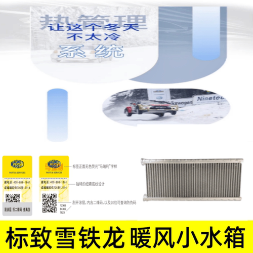 1609730580C4PICASSO暖风小水箱