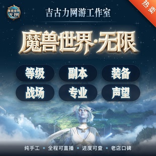 魔兽世界代练无限装备等级副本装备金币专业声望战场