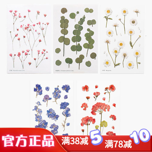 appree韩国文具创意仿真压花胶质贴纸画稀有植物树日记本手帐装饰