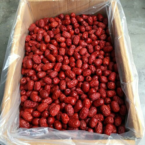 2500g整箱沧州红枣特级新货