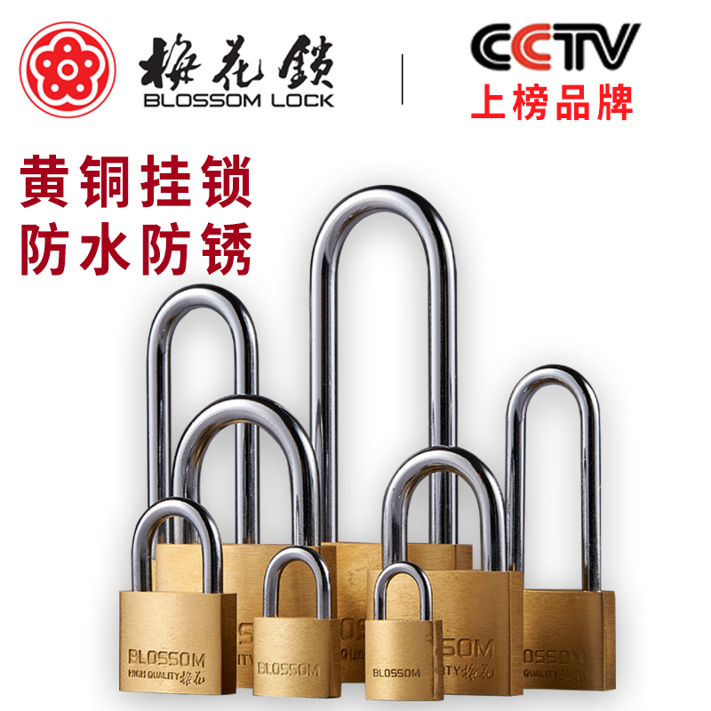 BLOSSOMLOCK/梅花锁可通开铜锁