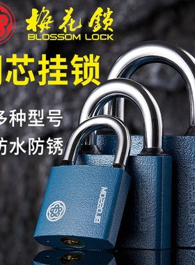 锁门挂锁通开2025新款梅花锁铜芯锁户外防水防锈家用门宿舍健身房