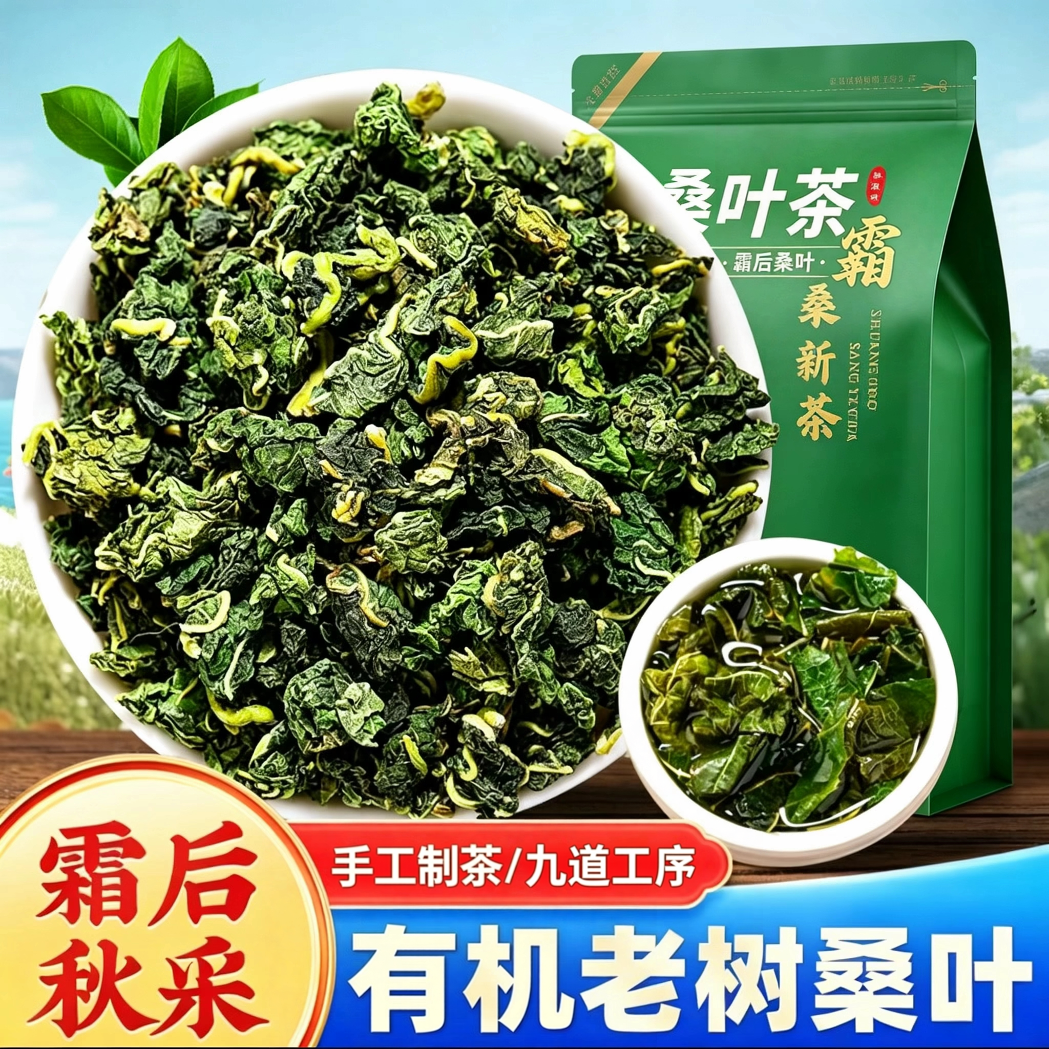 【霜后桑叶茶】500g（九道工序）