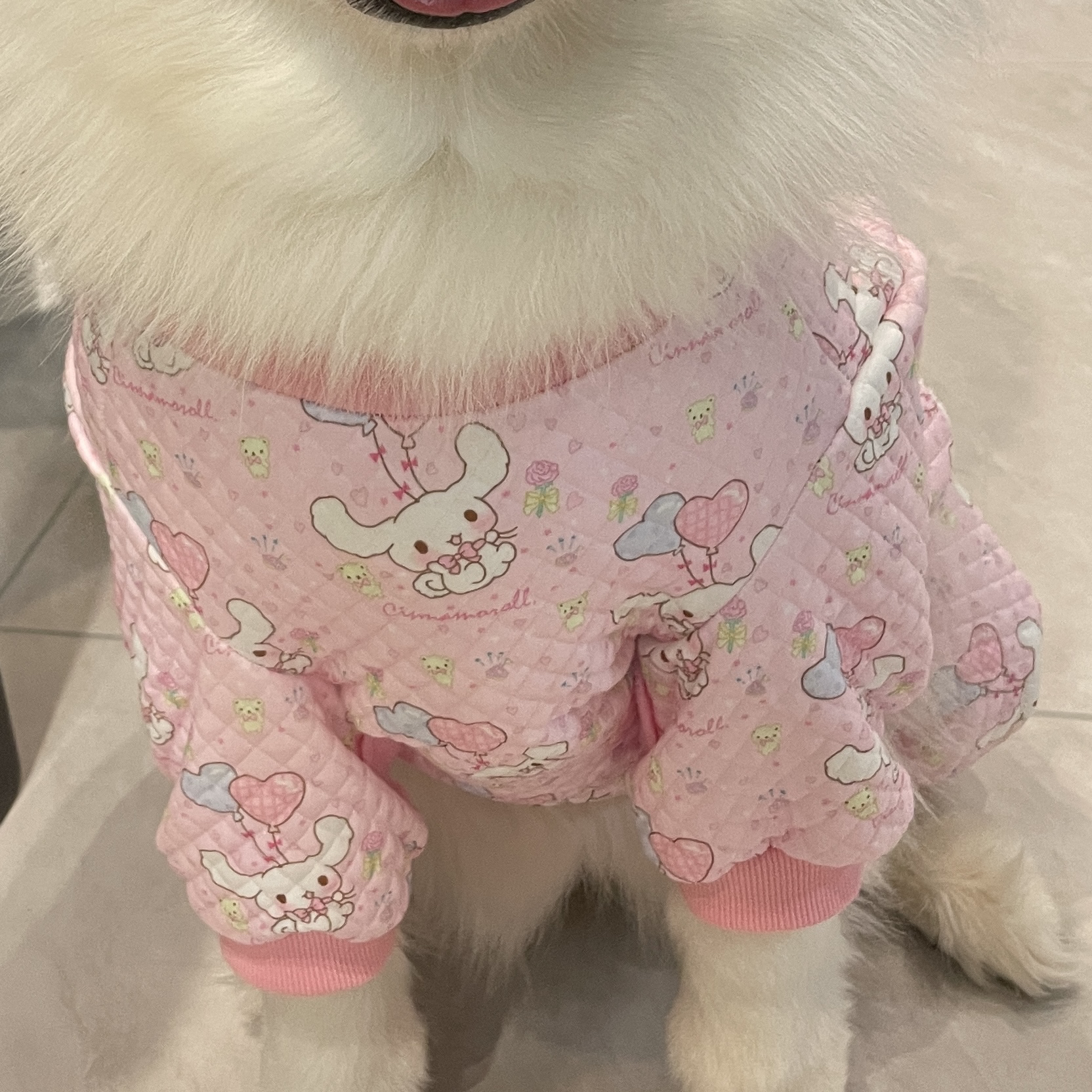 中大型犬四脚衣服秋冬夹棉萨摩耶拉布拉多金毛防晒衣服护肘护衣服