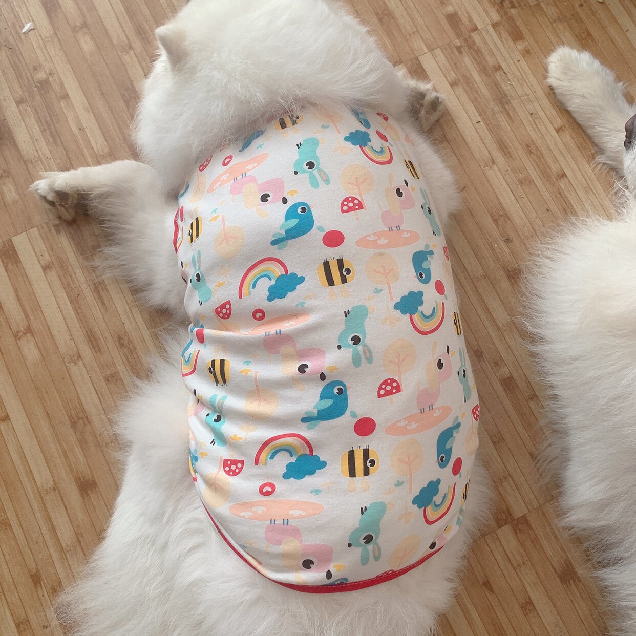 中大型犬宠物狗背心防掉毛防晒透气金毛萨摩耶纯棉春夏纯棉衣服图片