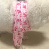 中大型犬居家狗狗拉布拉多金毛萨摩耶护关节短款 套衣服 加厚护肘袖